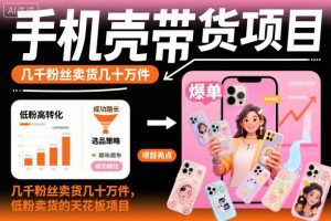 手機殼帶貨項目,幾千粉絲賣貨幾十萬件,短視頻低粉賣貨的天花板項目